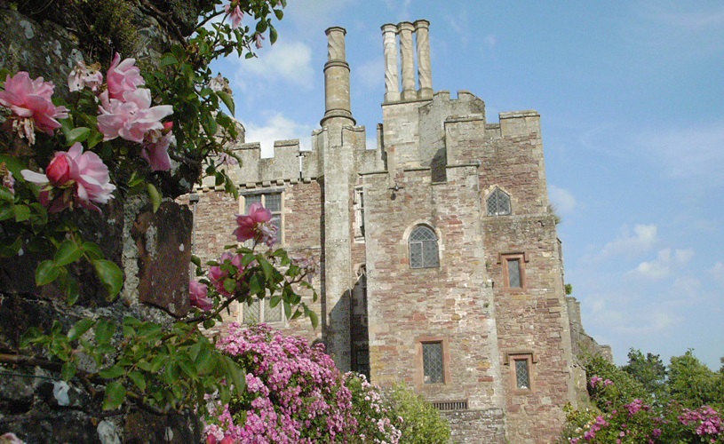 Berkeley Castle, with blossoms in the foreground.